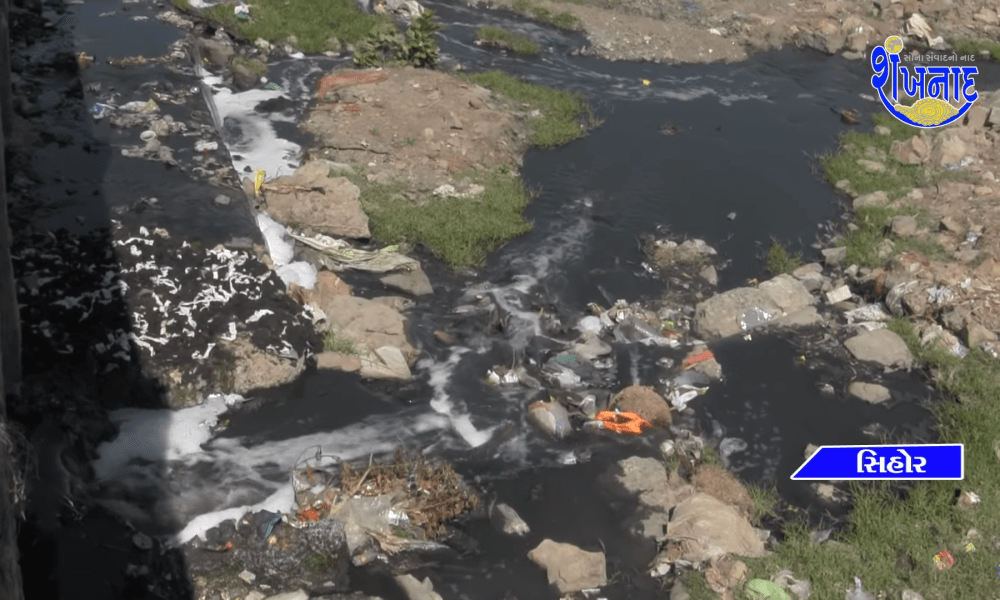 A kingdom of dirt in the Gautami river of Sihore