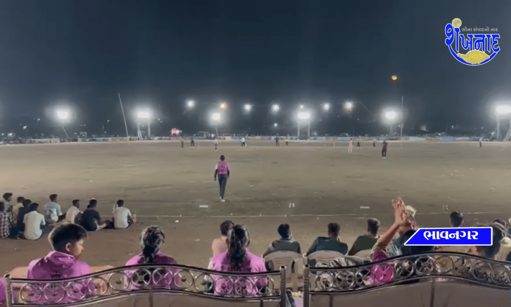 Bhavnagar Veer Mandhata Sanghatan Gujarat organizes cricket tournament
