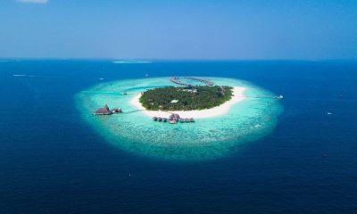 This guy bought an island for 3 crores, now lives like a king, but doesn't seem to mind