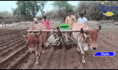 In Sihore Panthak, the world is busy preparing for sowing.