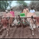 In Sihore Panthak, the world is busy preparing for sowing.
