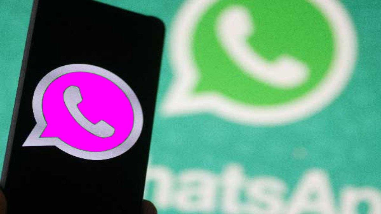 Pink WhatsApp can destroy everything in one fell swoop, warns police