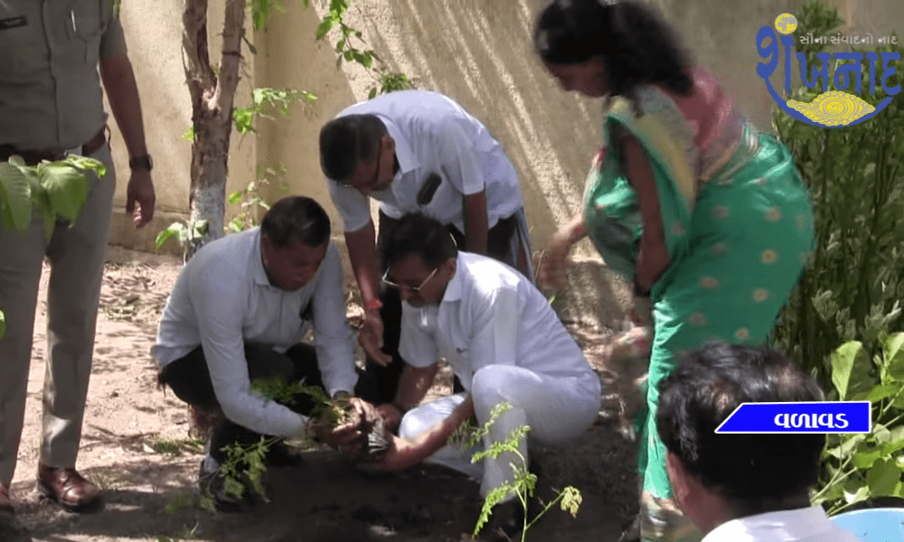 A school entrance festival was held at Laavad in Sihore.