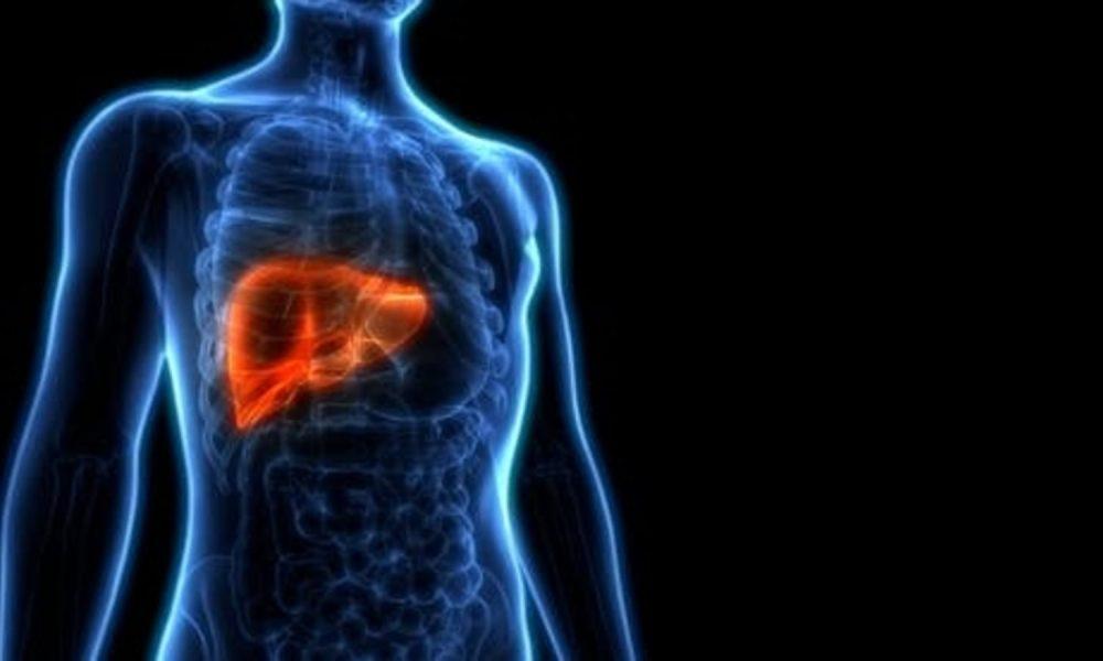 If you want to keep your liver healthy, what should you eat and what should you avoid?