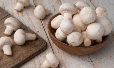 Mushrooms will help in weight loss, include them in the diet with these methods