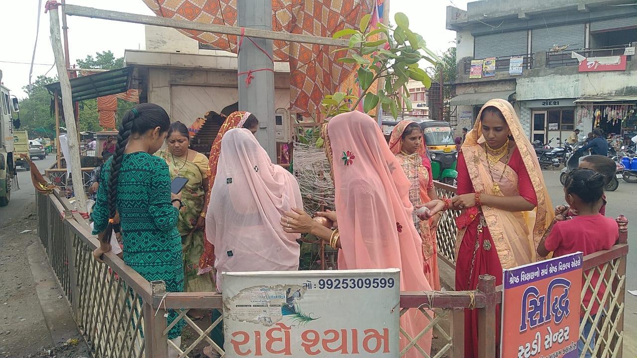 Devotional celebration of Vat Savitri Vrat in Sihore by auspicious women