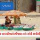 Sihor; BJP umbrellas became the shield of the poor