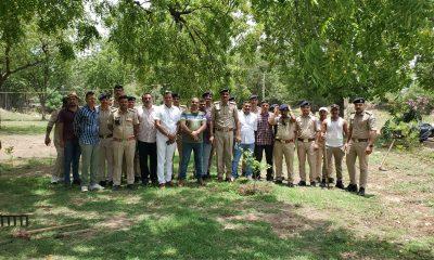 Trees are the support of living beings : Environment is the life of animals : Preservation of trees is important for all living beings - PI Bharwad