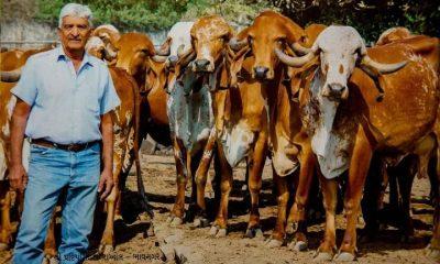 Bhavnagar; Pradeep Singh Raol, who made an invaluable contribution to cow breeding, passed away at the age of 86.