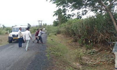 Salutations to your service; The electricians of Sehore PGVCL risked their lives to turn on the electricity