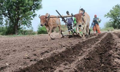 in-sihore-panthak-the-world-is-busy-preparing-for-sowing