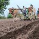 in-sihore-panthak-the-world-is-busy-preparing-for-sowing