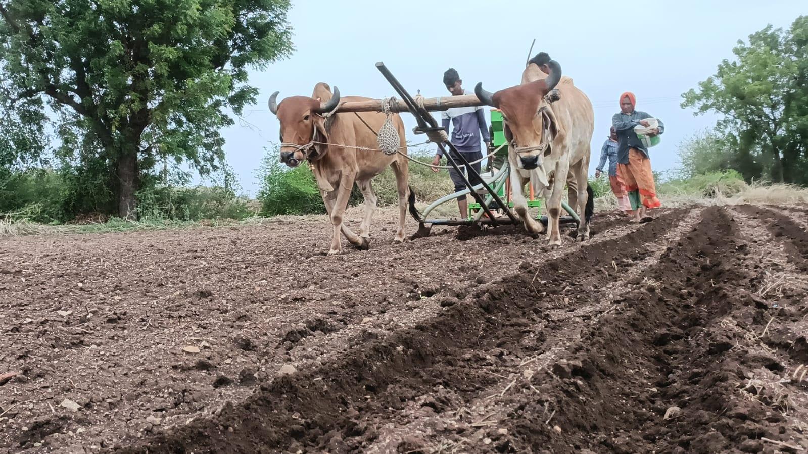 in-sihore-panthak-the-world-is-busy-preparing-for-sowing