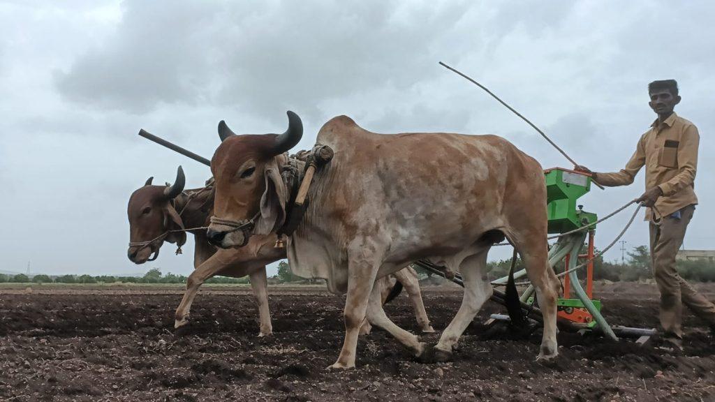 in-sihore-panthak-the-world-is-busy-preparing-for-sowing