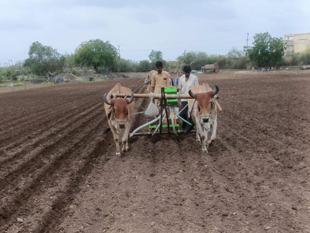 in-sihore-panthak-the-world-is-busy-preparing-for-sowing