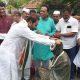 A big signal given by the Congress before the Lok Sabha, Shaktisinh Gohil became a candidate