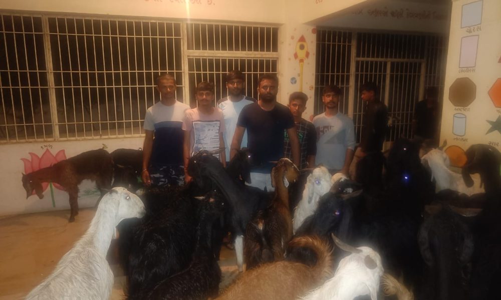 The youth of Tana village came forward during Biparjoy cyclone