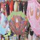 sihor-market-for-umbrella-raincoats-left-behind-during-heat-storm-has-now-exited