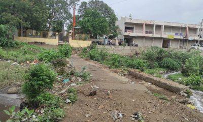 Due to the sin of the system, the Gautami river of Sihore will become a stinking sewer