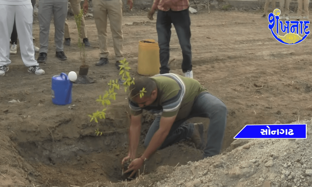 Trees should be planted throughout the year not just on Environment Day: DySP Mihir Baraiah.