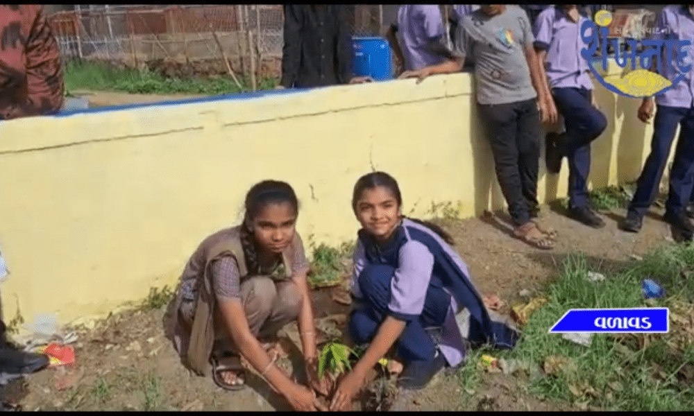 An entrance ceremony and tree plantation was held at Sri Satchidananda Gurukul Vidyalaya.