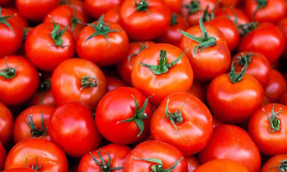 sihor-tomato-prices-skyrocketed-double-price-hike-disrupted-housewives-budgets