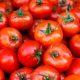 sihor-tomato-prices-skyrocketed-double-price-hike-disrupted-housewives-budgets