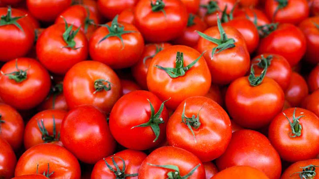 sihor-tomato-prices-skyrocketed-double-price-hike-disrupted-housewives-budgets