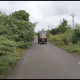 To go to Bhadli village of Sihore, small vehicles have a lot of trouble with acacia clumps on both sides.