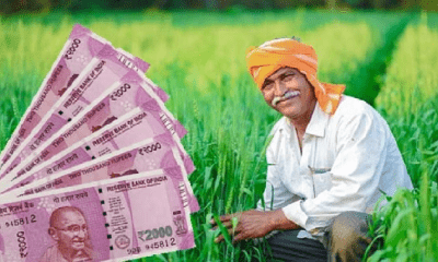 Agriculture Minister's big announcement ahead of PM Kisan's 14th tranche, said- How will income double?