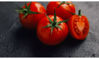 Store tomatoes in this way in monsoon, it will not spoil soon