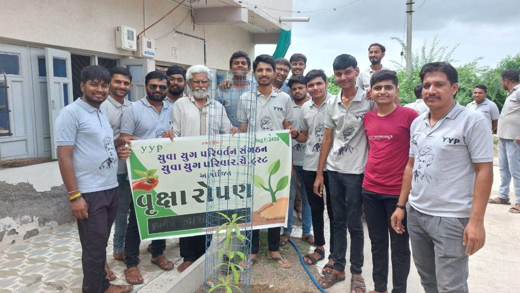 If we see desert plants in plants, trees will save us from every situation, not on World Environment Day, keep growing trees throughout the year: Malay Ramanuja