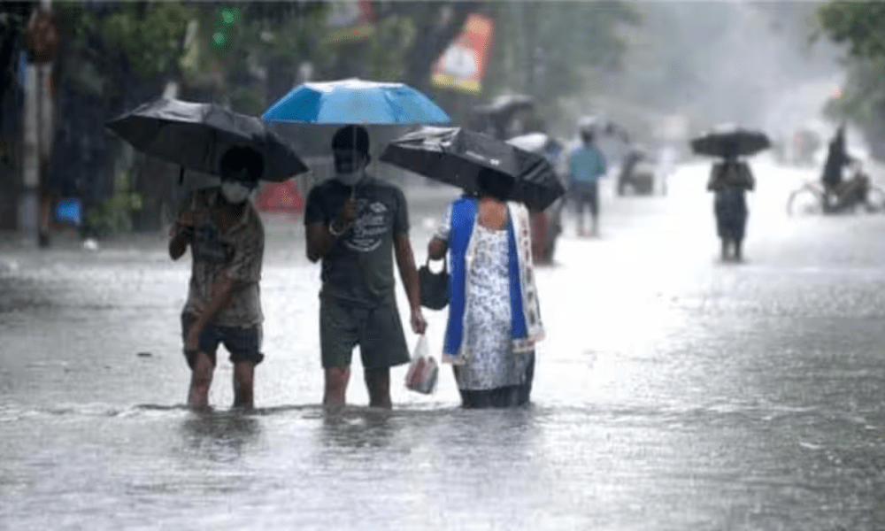 From Delhi-NCR to Jharkhand, these states will witness heavy rainfall today; Information provided by IMD