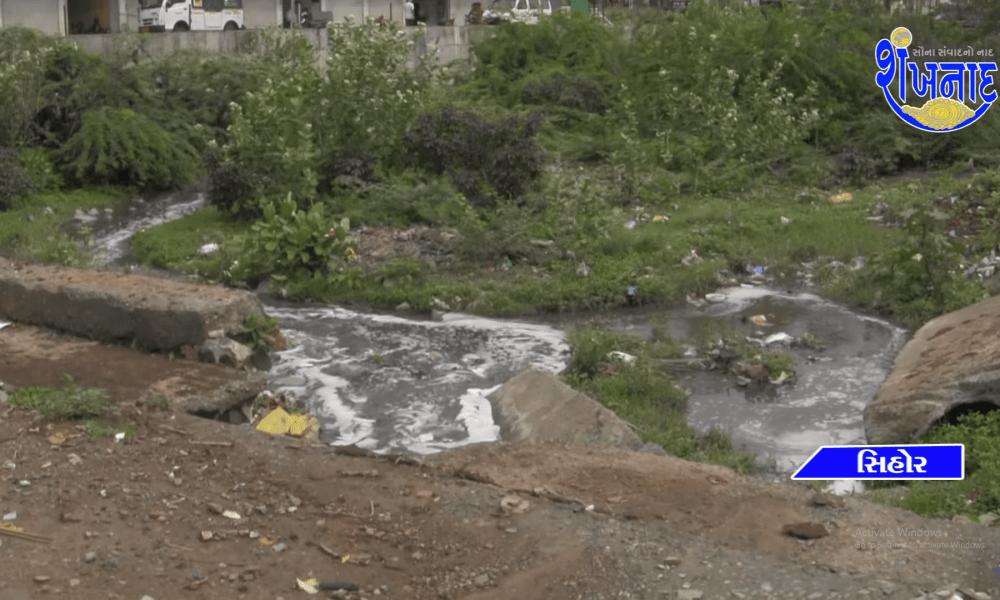 An empire of dirt was seen in Gautami river of Sihore.