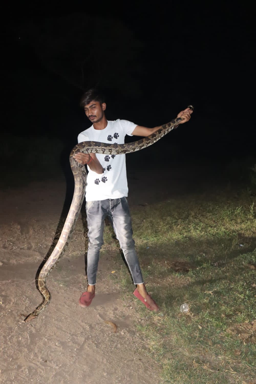 World Snake Day; This is not a snake, but my friend; Thus, people sweat on seeing the snake, but Ajay of Sehore holds it like a toy.