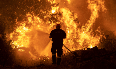 Amid scorching heat in Europe, a forest fire broke out in Greece, burning 35 square kilometers of forest to ashes