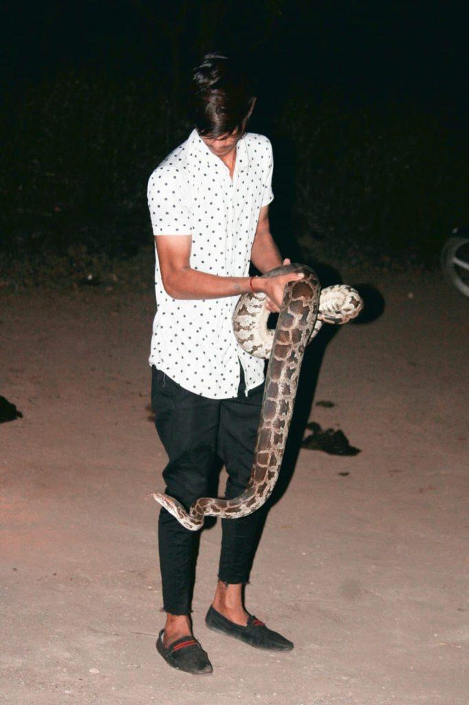 World Snake Day; This is not a snake, but my friend; Thus, people sweat on seeing the snake, but Ajay of Sehore holds it like a toy.