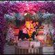 Patotsav was celebrated at the temple of Sihore Pabuji Maharaj.