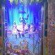 Karthik, son of Antubhai Medical, a well-known Ram Kripa Medical of Sihore, had a unique birthday celebration.