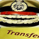Ahmedabad's new police commissioner GS Malik, Vadodara's CP Gehlot, 15 district SPs also changed.