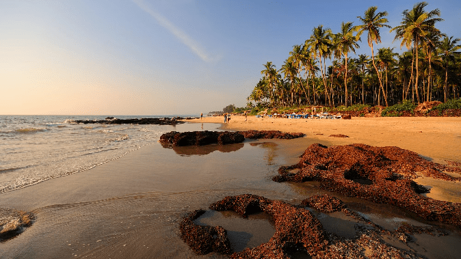 IRCTC Goa Tour Package: Make plans for Goa during Dussehra holidays, very cheap packages are available