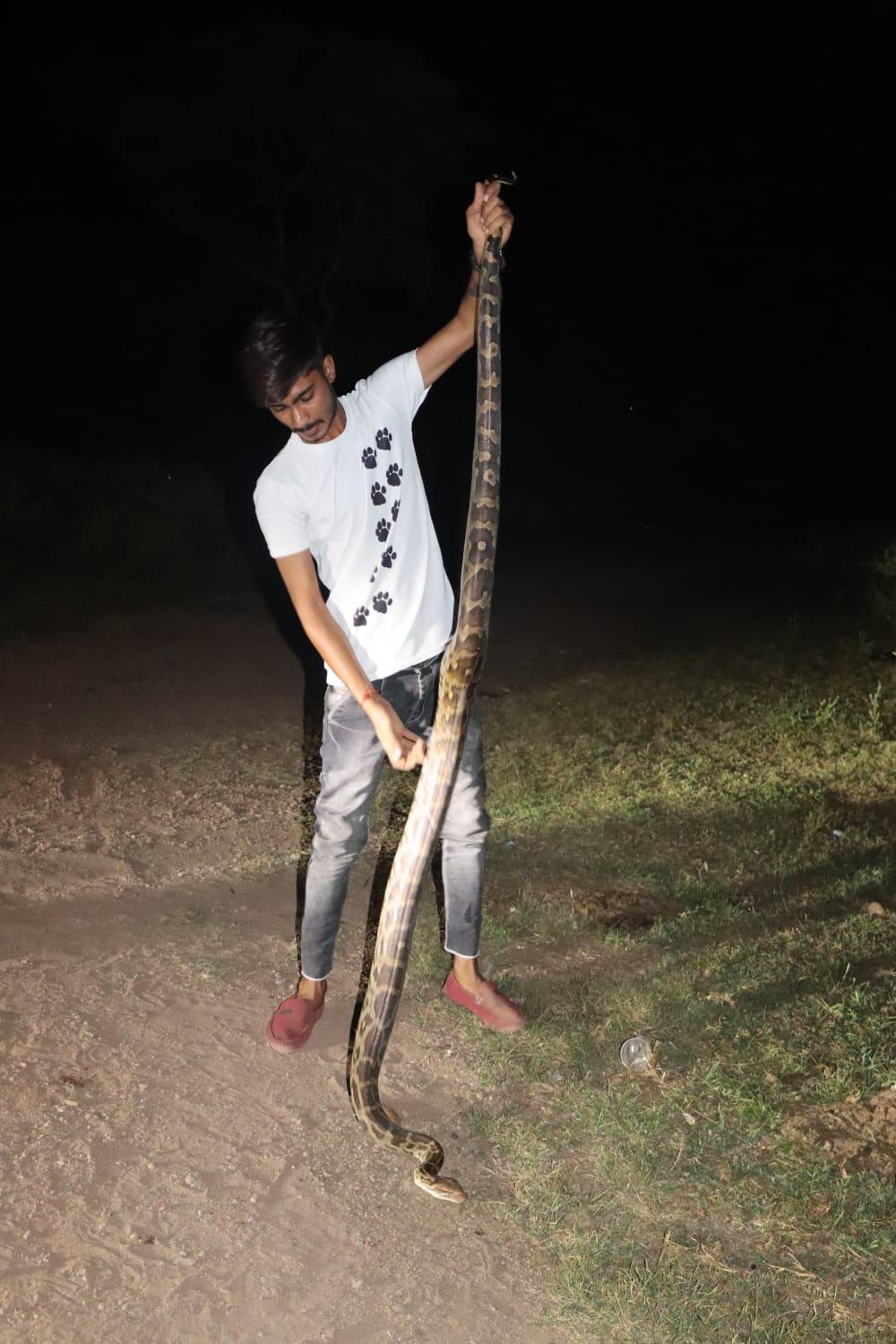 World Snake Day; This is not a snake, but my friend; Thus, people sweat on seeing the snake, but Ajay of Sehore holds it like a toy.