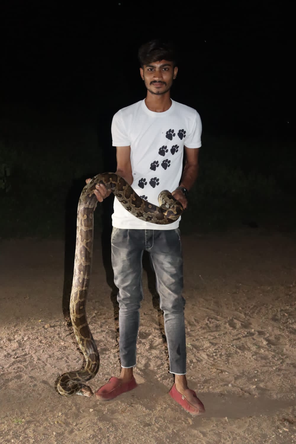 World Snake Day; This is not a snake, but my friend; Thus, people sweat on seeing the snake, but Ajay of Sehore holds it like a toy.