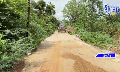 Sihore Sankhnad Samachar reports that the acacias on the road were removed by the municipality.