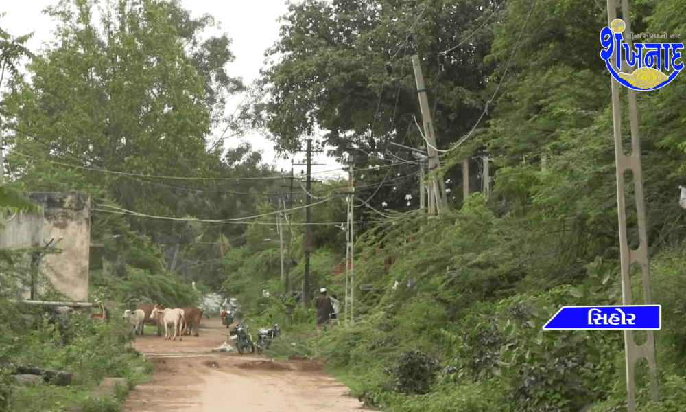 presentation-by-dipshangbhai-rothod-and-shiv-sena-president-keshubhai-regarding-clumps-of-acacia-trees-on-sihore-gautamescher-road