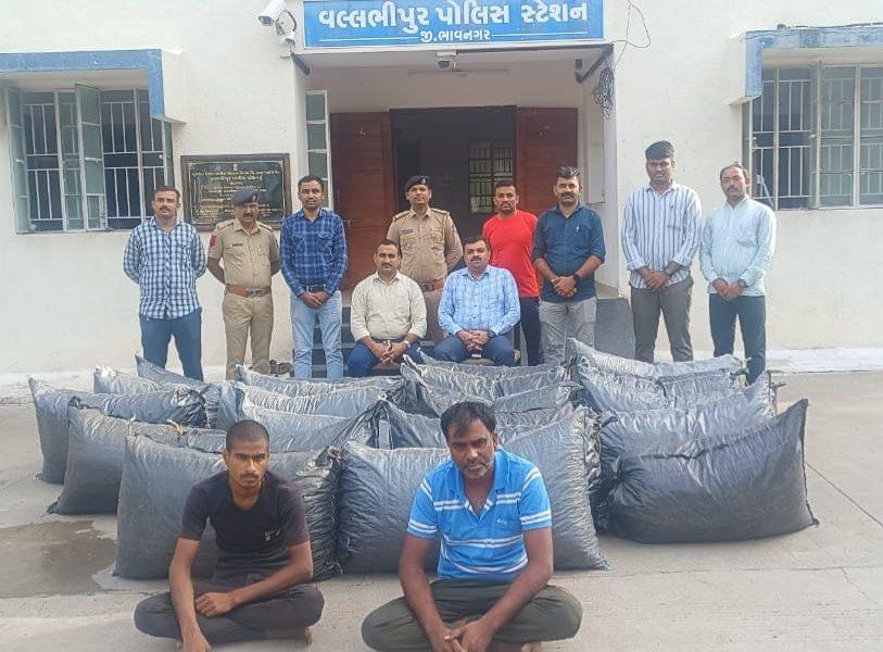 vallabhipur-police-seized-bags-of-posh-doda-from-the-truck-two-arrests