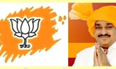 Lok Sabha public meeting will be held in Bhavnagar under the chairmanship of BJP state president Shri Chandrakant Patil
