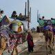 kutch-freighters-pass-through-sihore-towards-madare-watan