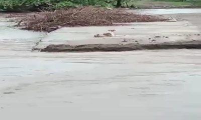 The causeway broke in the rushing waters of the Kalabhar river near Bhangarh in Sihore taluk