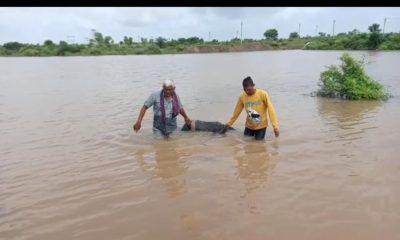 A dead body was found in a lake in Dhankankunda village of Sihore; Details of missing two days ago